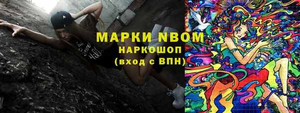 гидра Каменногорск