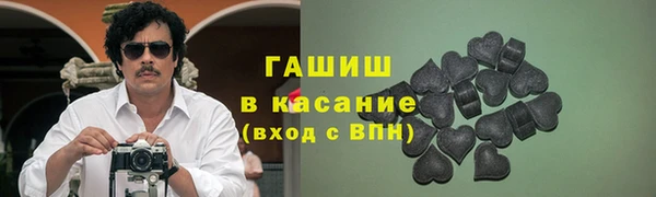 индика Нягань