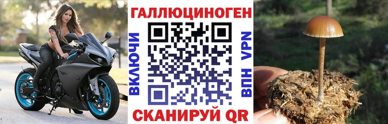Псилоцибиновые грибы MAGIC MUSHROOMS Рузаевка